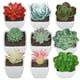 thumbnail image 3 of Mini planta artificial de plástico en maceta, combinación de decoración de escritorio, planta de simulación, flor falsa de plástico carnosa, planta verde bonsái, 3 of 4