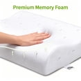 thumbnail image 4 of Sleepwello Ergonomic Contour Memory Foam Pillow for Neck Pain Relief, Cooling Tencel Cover, Dual Height Cervical Support, Queen 24"x16", 4 of 13