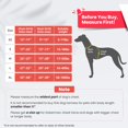 thumbnail image 2 of Arnés Pawaii para perros grandes con etiqueta de identificación para mascotas, sin tirar, 2 of 9