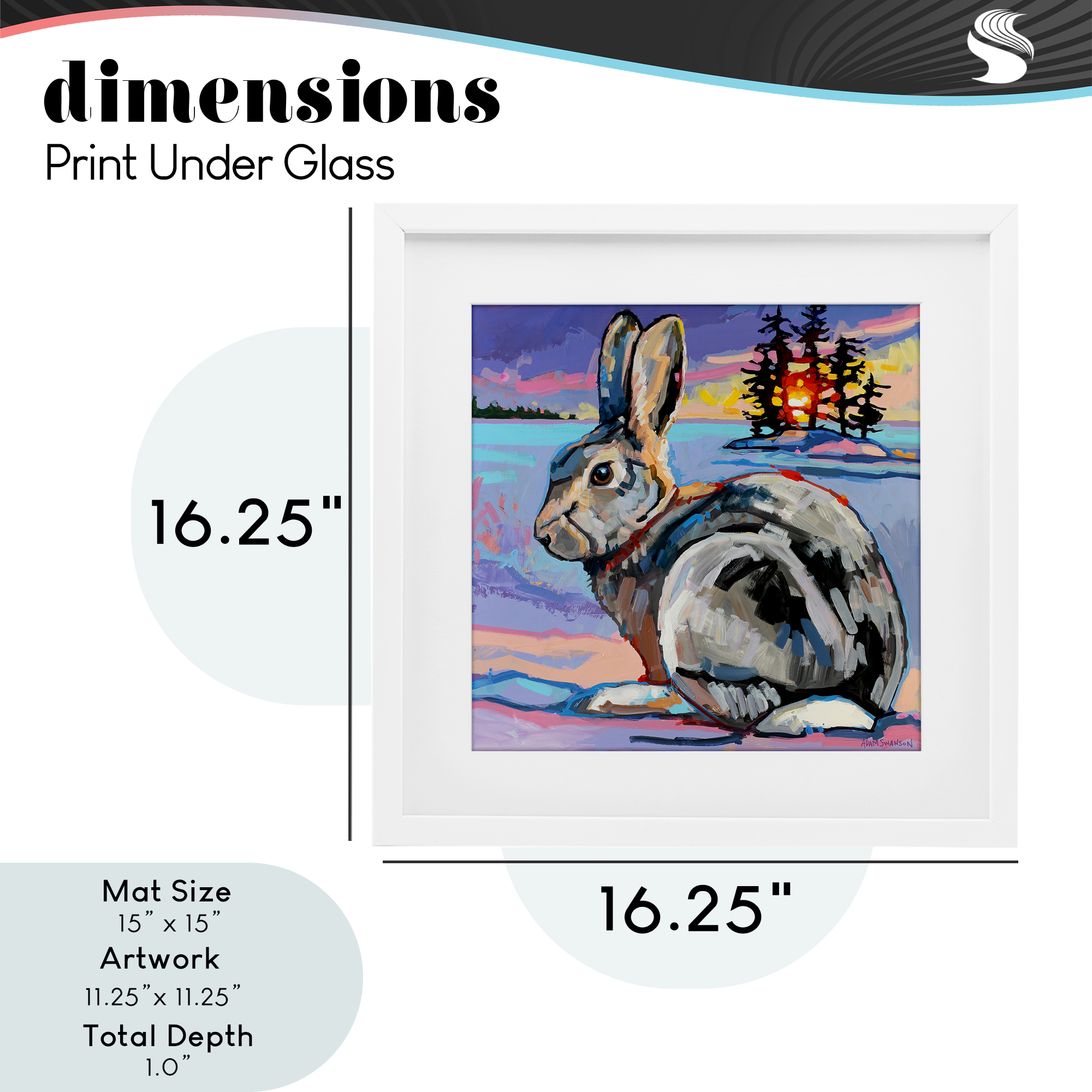Runaway Goliath Rabbit White Framed Print Under Glass, design by Adam Swanson