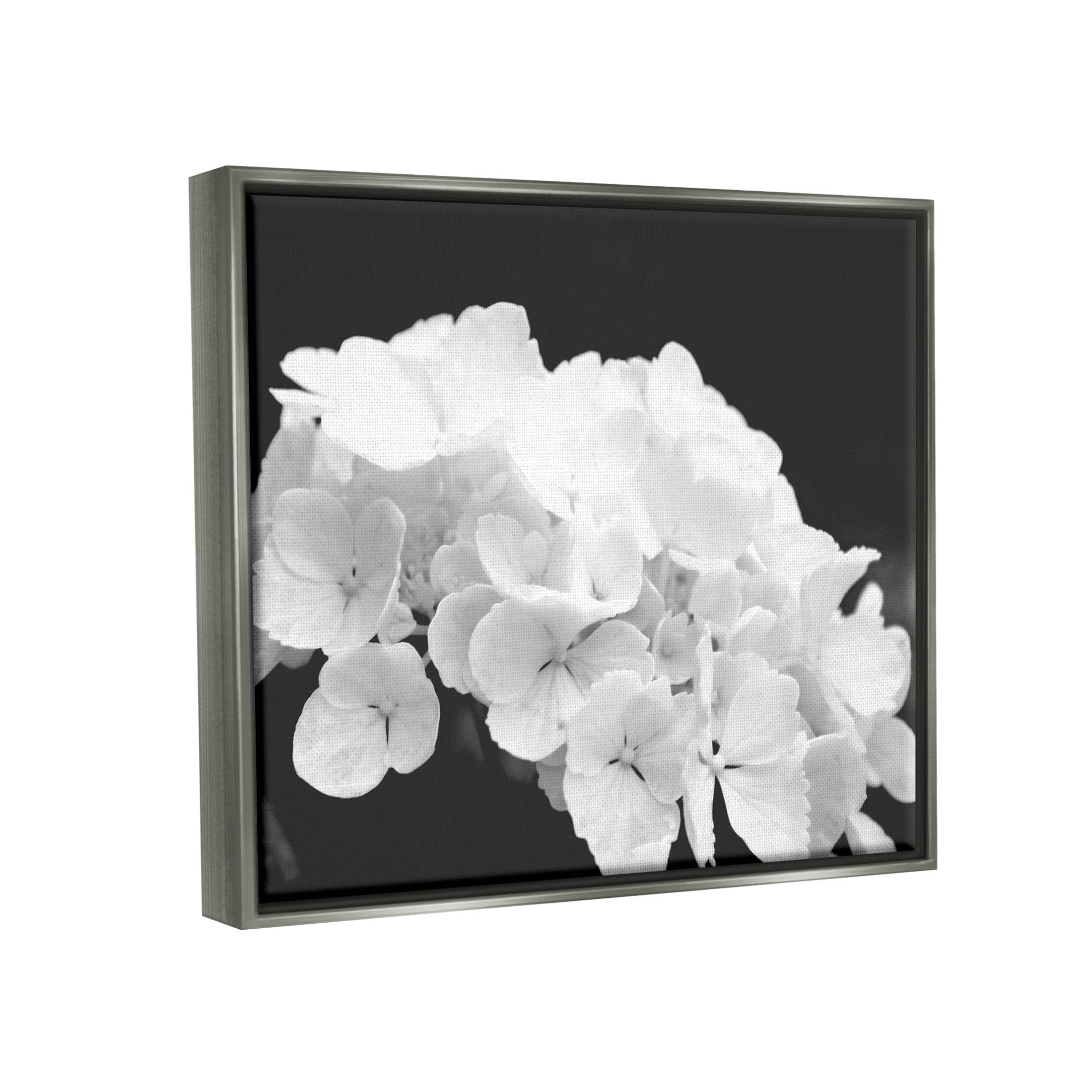Delicate White Hydrangea Petals Botanical & Floral Photograph Luster Gray Framed Art Print Wall Art