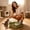 Green, variant on Semi Enclosed Cat Litter Box with Top Entry Lid, Covered Kitty Toilet with Odor Control Design and Scoop, High Sided Large Capacity Litter Pan for Cats, Easy Cleaning Bathroom Solution for Home