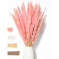 thumbnail image 1 of Fluffy Pampas Grass Dried 15 piezas - Flores secas - Natural, sostenible y fácil de limpiar - Decoración elegante Xemadio MZQ-0839-2, 1 of 8