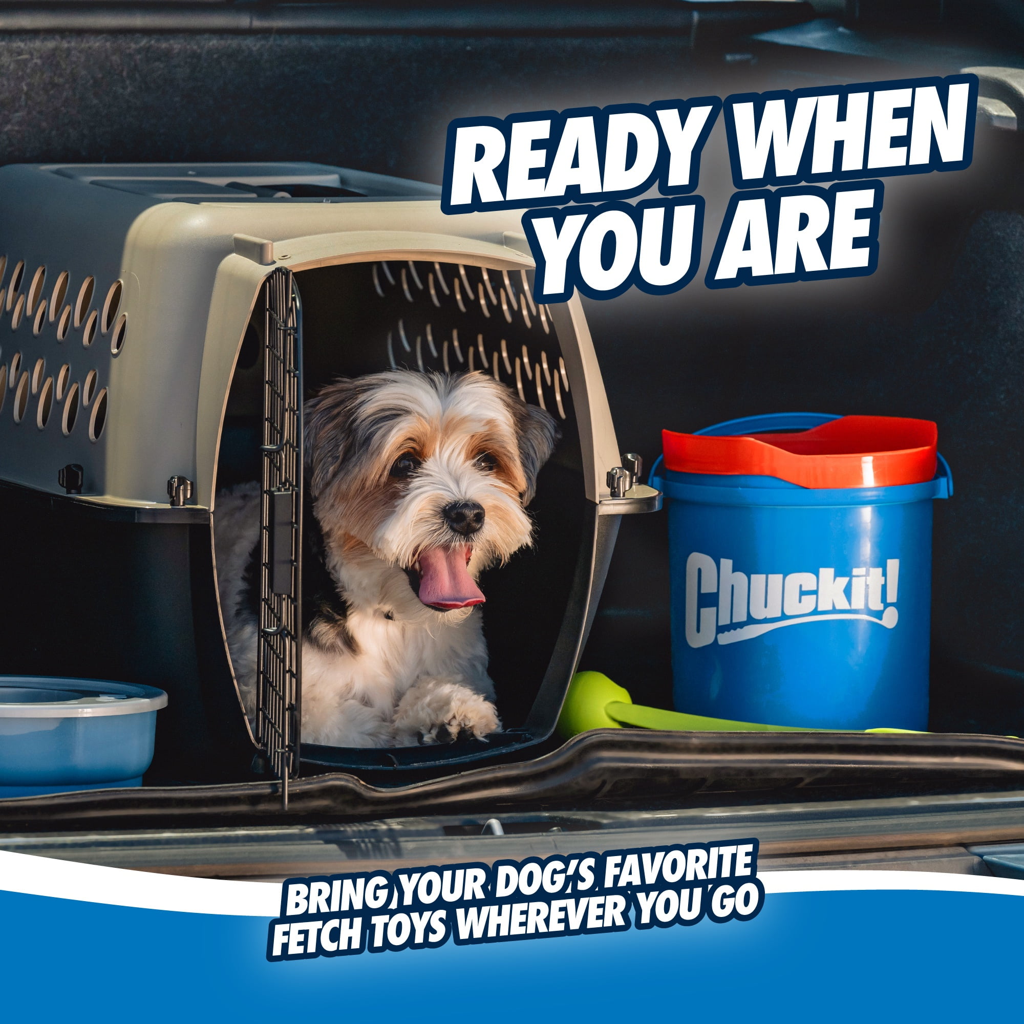 Chuckit! Ultra Ball Rubber Fetch Dog Toy with Carry and Clean Bucket, Includes 8 Medium (2.5") Ultra Balls, for Dogs 20-60 lb