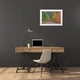 thumbnail image 3 of Paulson, Don 14x11 White Modern Wood Framed Museum Art Print Titled - OR, Willamette NF Historic Santiam Wagon Road, 3 of 4