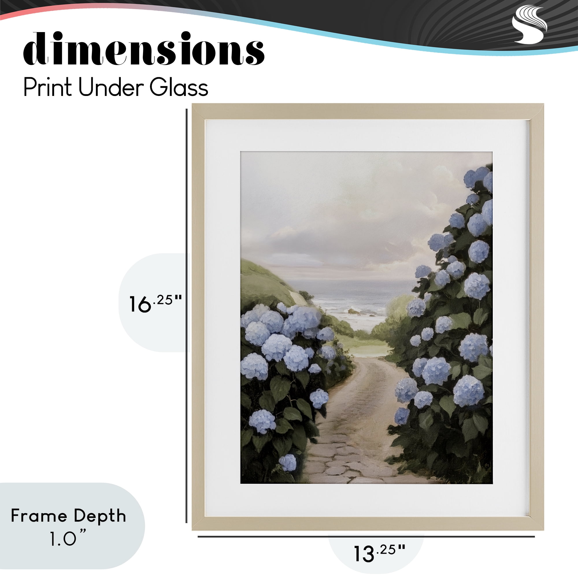 Stupell Industries Coastal Hydrangea Pathway Birch Framed Print Under Glass, design by Sisi and Seb