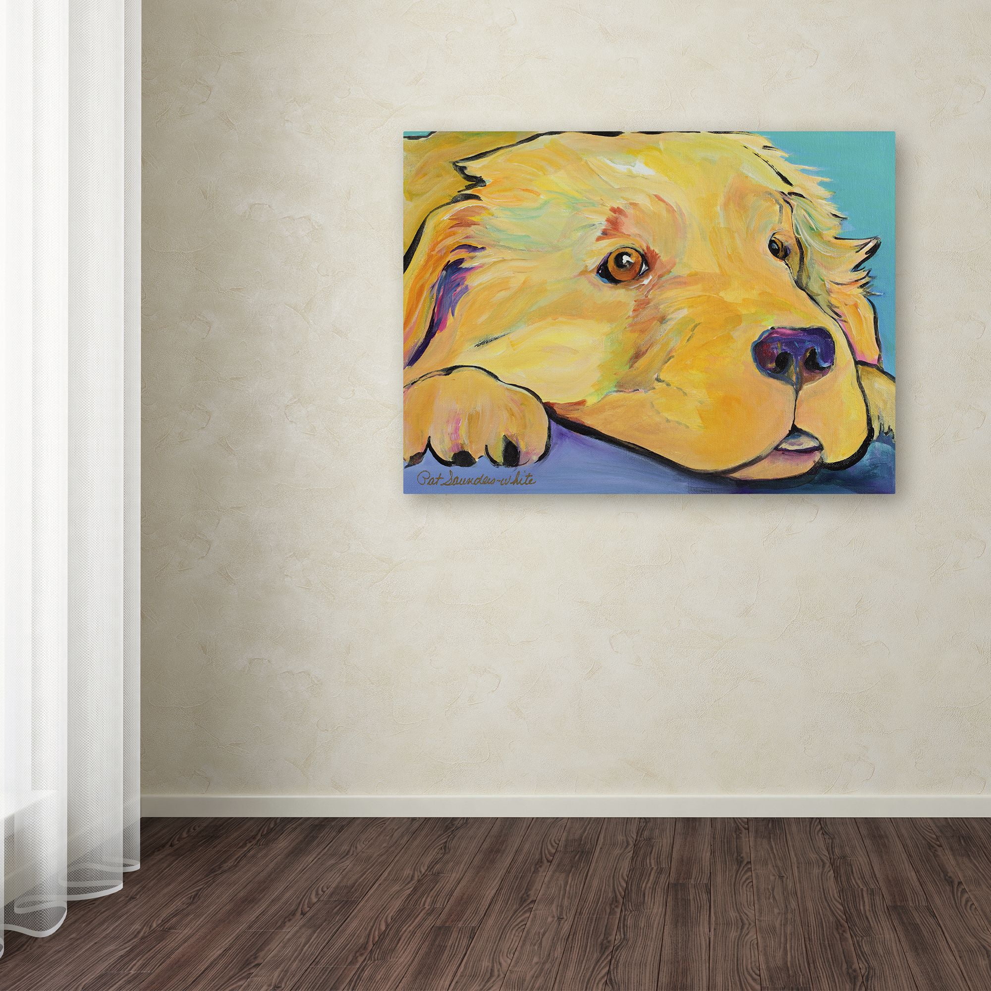 Trademark Fine Art "Baby" Canvas Art by Pat Saunders-White