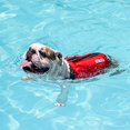 thumbnail image 4 of Outward Hound Dawson Dog Life Jacket, Medium, Red, 4 of 8