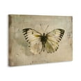 thumbnail image 3 of Stupell Industries Graceful Vintage Butterfly Canvas Wall Art, design by Creative Studio, 30 x 45, 3 of 7