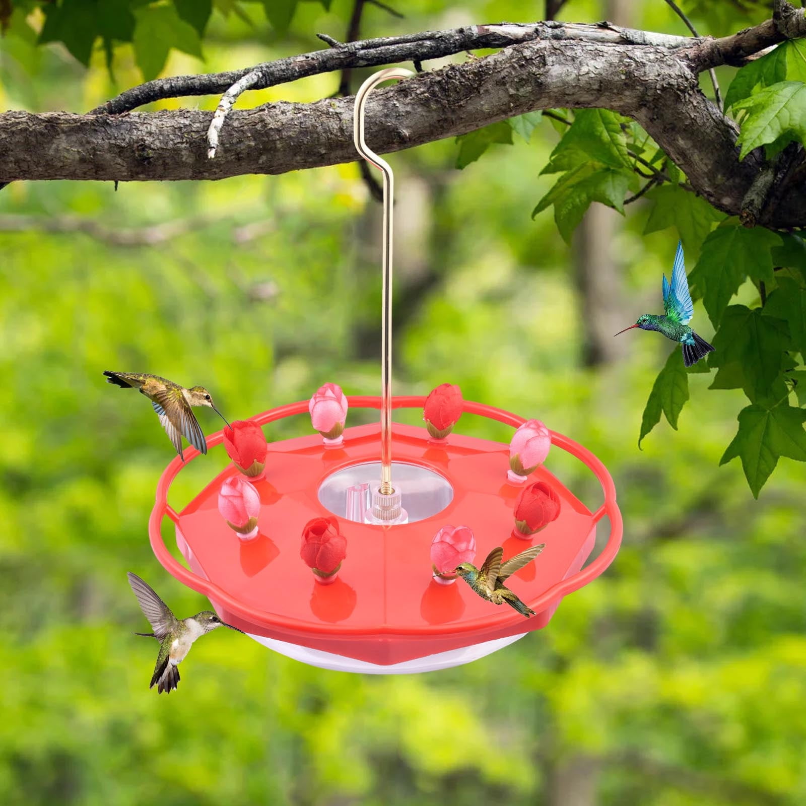 CVLNCYCLING 8 Holes Hummingbird Feeder, Outdoor Water Dispenser Drinking Cup, for Courtyard Garden, Bird Lovers Supplies