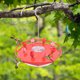 thumbnail image 3 of Hummingbird Feeder | 8 Feeding Ports Flower Design - 16oz Capacity Outdoor Hanging Bird Water Dispenser | Detachable Lid Easy Clean | Red Yellow White Flowers | 21x21x24cm | Copper Hook Included, 3 of 7