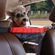 thumbnail image 3 of Coche mascota barrera conducción aislamiento protector mascota barrera malla pequeño animal asiento trasero seguridad espacio viaje conducción vehículo protector Rojo kenally VI001591-02, 3 of 6