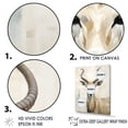thumbnail image 5 of Designart "Beige Ibex In Minimalist Antelope II" Animals Antelope Picture Framed Canvas Prints, 5 of 5