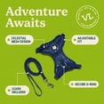 thumbnail image 4 of Vibrant Life Adjustable Cat Harness and Leash, Blue Celestial, One Size, 4 of 10