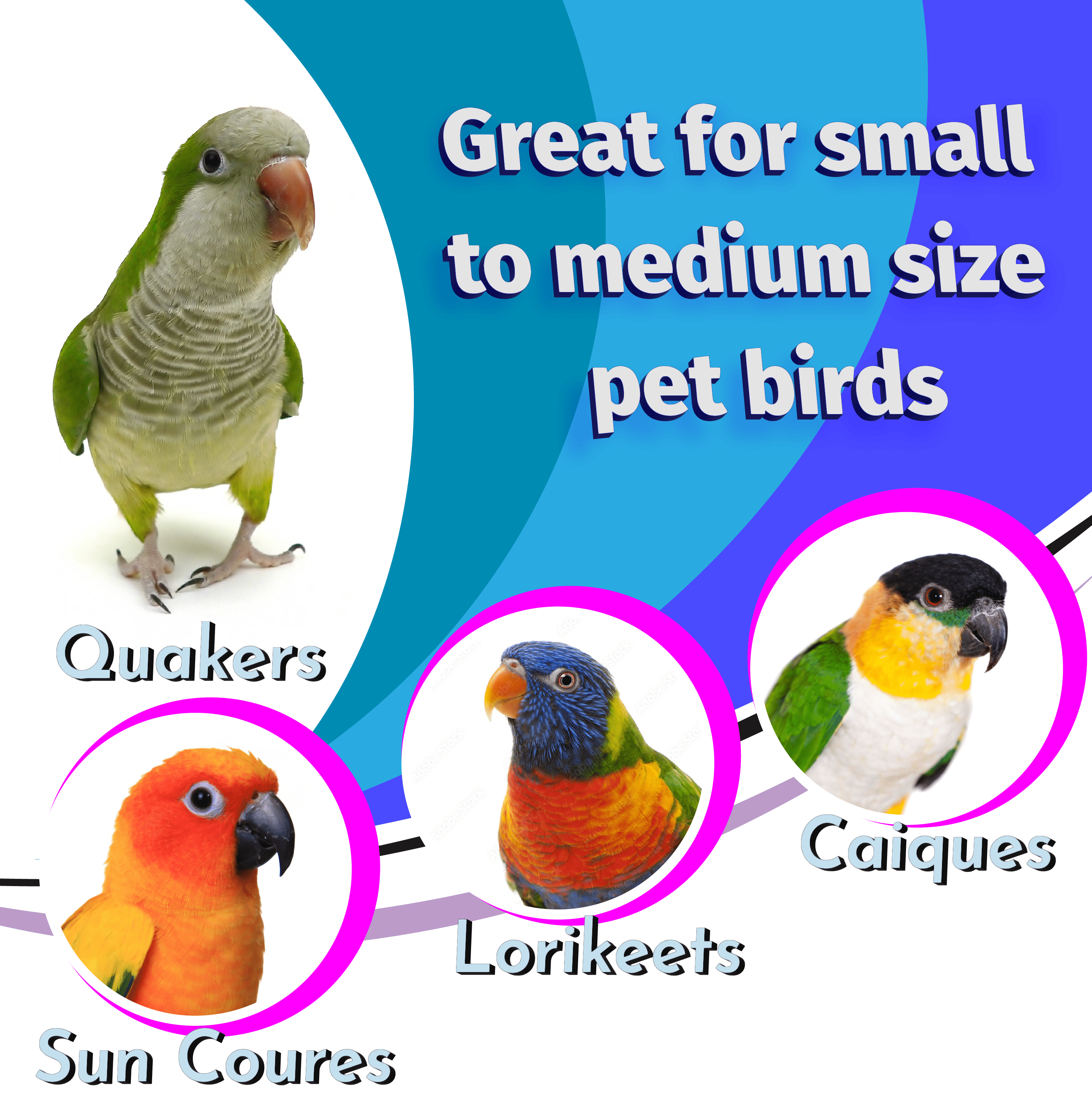 1596 Hot Air Sola Balloon - Handcrafted Chewable Bird Cage Toy, Lightweight Sola Wood