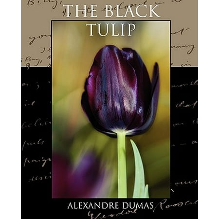 Black Tulip - The Black Tulip
