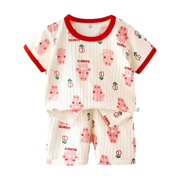 XZNPDUCQ 2Pcs Summer Outfits Set – Cute Flower Short Sleeve T-Shirt & Shorts for Toddler Girls (1-8Y Gift) Summer 2Pcs Gift Outfits Set T-Shirt Set 6-12 Months Red