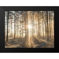 thumbnail image 2 of Frank, Assaf 14x12 Black Modern Framed Museum Art Print Titled - Misty forest with sunrays, 2 of 5