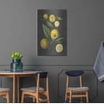 thumbnail image 4 of Luxe Metal Art 'Lemon Citrus' by lettered & lined, Metal Wall Art, 24"x36", 4 of 9