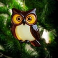 thumbnail image 4 of 2D Flat Bird Christmas Ornament - Acrylic Winter Bird Pendant, Print Break-Proof Tree Tags Cute Stocking Stuffer for Bird Lovers, 4 of 7