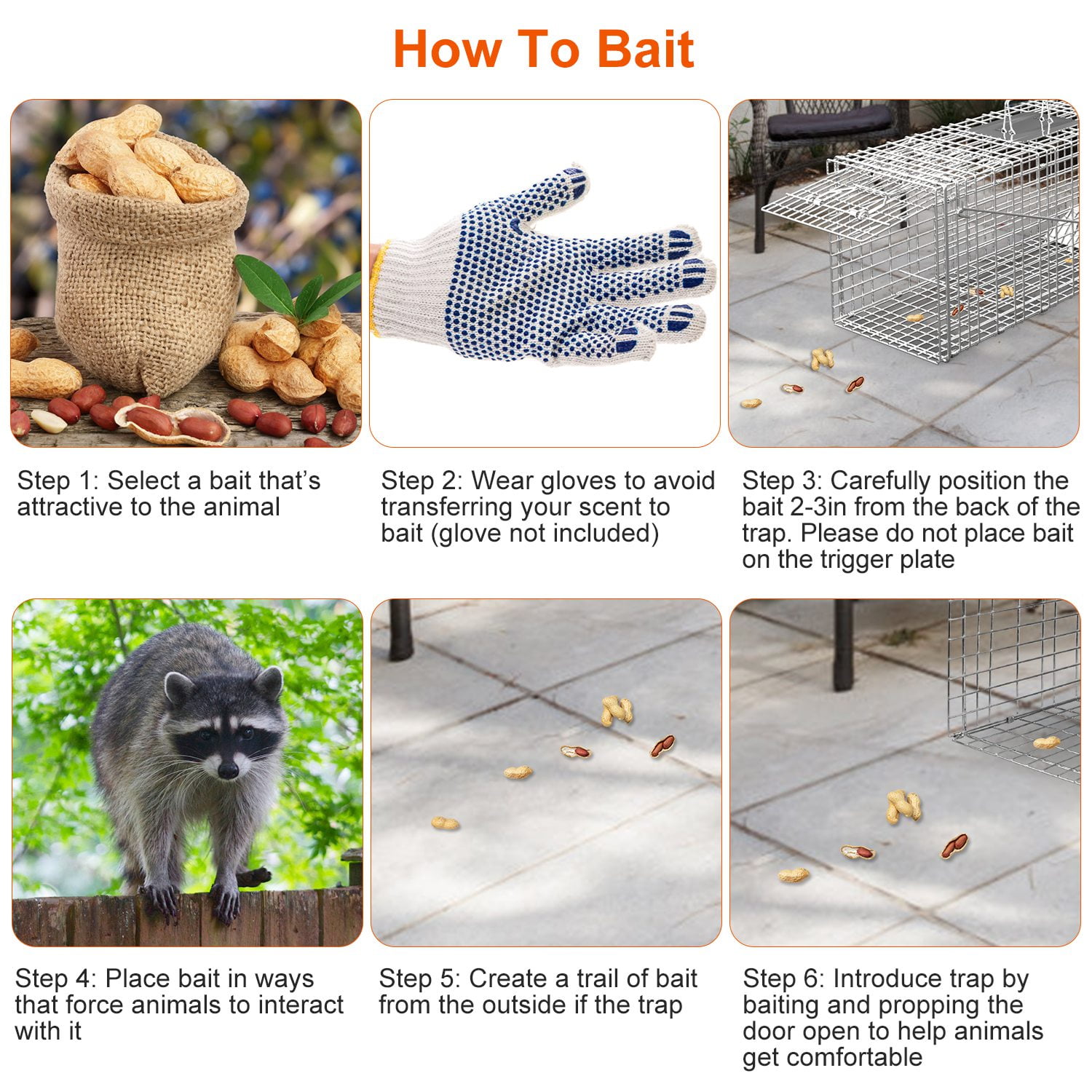 Humane Animal Trap Cage (30.51x11.02x11.81in) - Galvanized Sturdy Wire Mesh, Sensitive Trigger & Dual Doors, Handle Guard Plate, Collapsible for Raccoons, Opossums, Skunks Under 16.5lbs