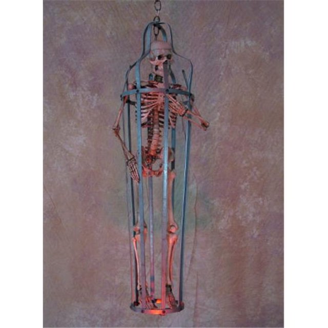 Iron Skeleton Cage with Aged Skeleton Medium Size - 33 inch