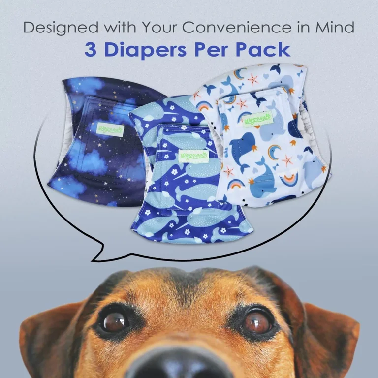 Walmart male dog wraps cheap