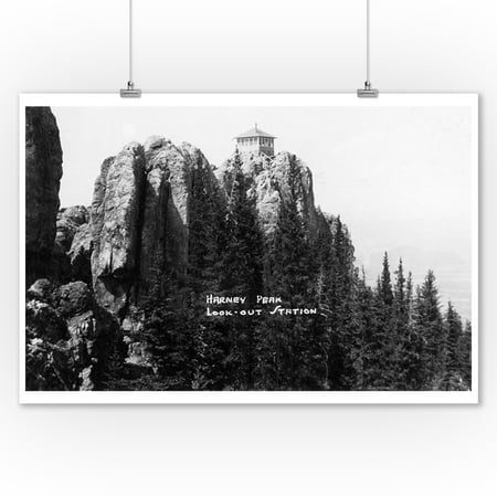 Black Hills National Forest, South Dakota - Harney Peak Look-out Station - Vintage Photograph (9x12 Art Print, Wall Decor Travel