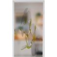 thumbnail image 1 of Decorative lass Sticker Privacy Window Films Beautiful White Plumeria rubra Flowers Isolated on White Background 35.4" x 78.7" Removable Window Sticker Opaque Light Blocking, 1 of 6