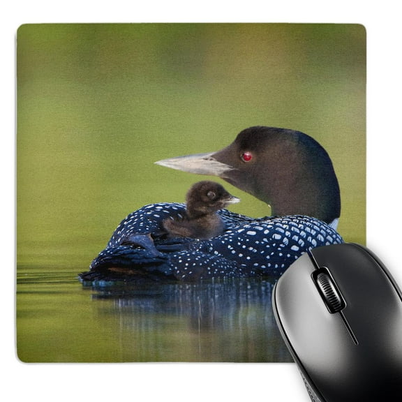 3dRose, British Columbia, Common Loons-CN02 GLU0001 - Gary Luhm, MousePad