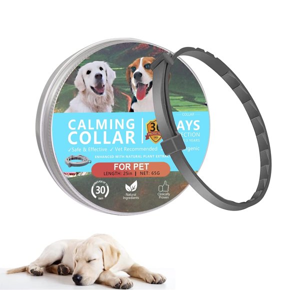 Dog Anxiety and Calming in Dog Health and Wellness