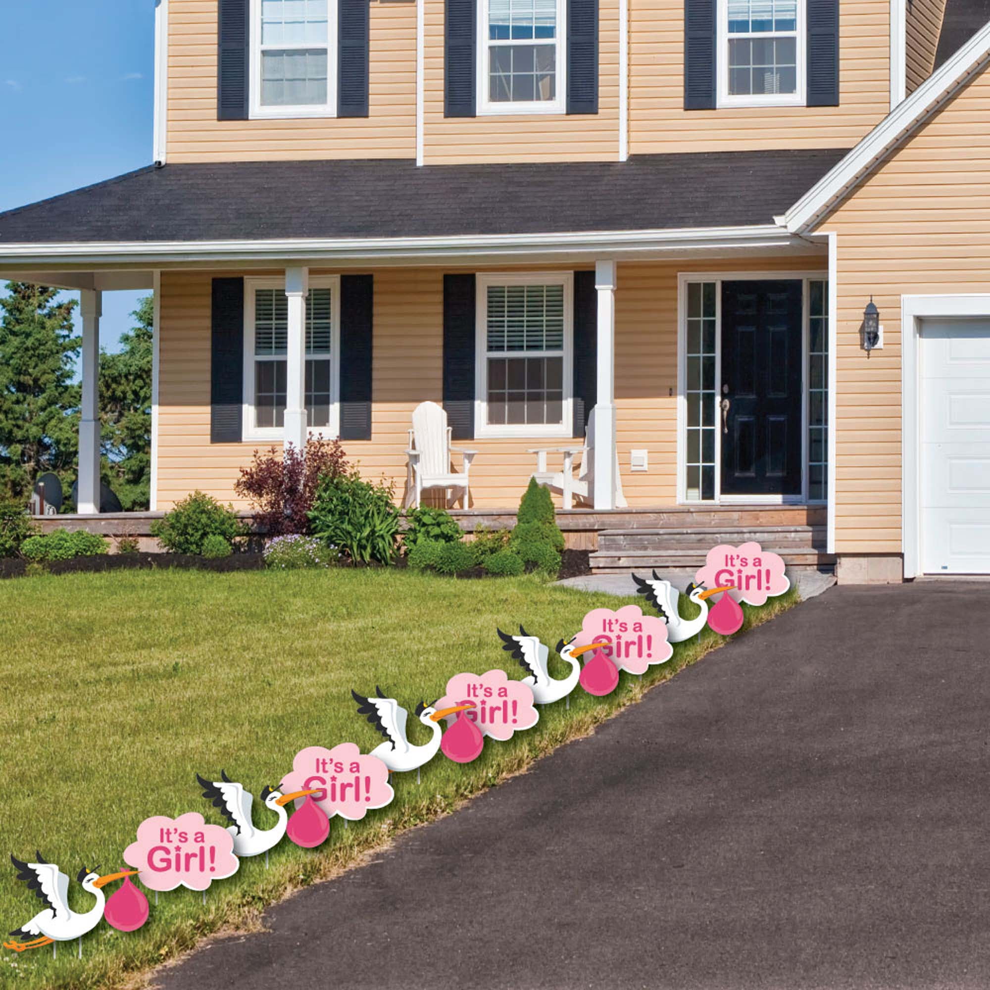 Big Dot of Happiness Girl Special Delivery - Baby Announcement Lawn Decor - Outdoor Pink It's a Girl Stork Baby Shower Yard Decorations - 10 Piece