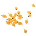thumbnail image 2 of Escala 1/12 Mini Mango Casa de muñecas Accesorio de comida de frutas en, 2 of 9