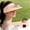 Pink, variant on Sun Visors Hat with Fan for Women,Two Power Supply (Solar + USB),Three Adjustable Speed Settings,Waterproof,Lightweight and Breathable Designs,Suitable for Sports, Park Tours and Travel(Gray)