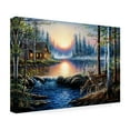 thumbnail image 4 of Trademark Fine Art Chuck Black Total Bliss Canvas Wall Art - 12x19, 4 of 4