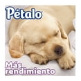 thumbnail image 4 of Papel higiénico Pétalo 4 rollos de 310 Hojas dobles c/u, 4 of 4
