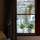thumbnail image 4 of Plantas en macetas se aferra a la ventana 3 uds. Calcomanías de ventana de hojas de plantas verdes simuladas anticolisión pegatinas de ventana estáticas de doble cara, 4 of 5