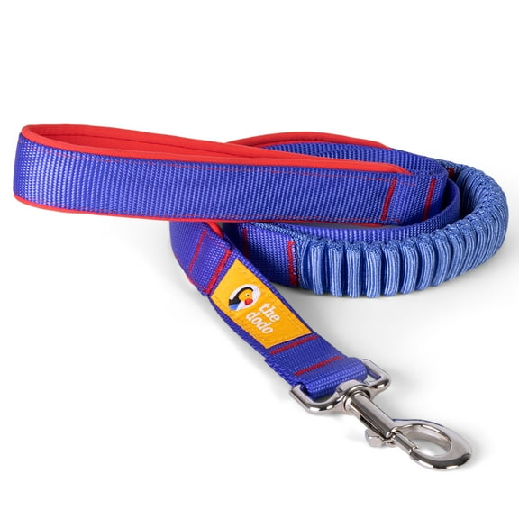 The Dodo Strain-Relieving, Bungee Dog Leash with Secondary Handle, 48” Blue