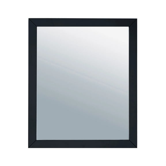 Laviva 313FF-2430E 0.79 x 30 x 24.02 in. Sterling Framed Rectangular Espresso Mirror