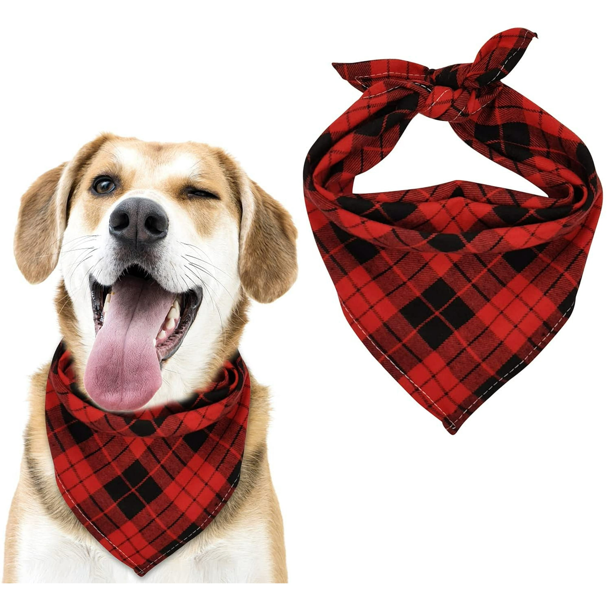 How Do You Keep A Bandana On A Dog