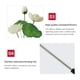 thumbnail image 3 of Lámpara De Césped Lámpara 2pcs 4LED Garden Light Colorful Gradient Solar Lotus Decoración para el hogar para Yard Walkway Likrtyny Para estrenar, 3 of 9