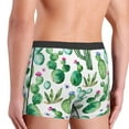 thumbnail image 3 of Goofa Cactus Plants1 Printed Men's Boxer Briefs Underwear, Moisture-Wicking Underwear, Trunk,Soft and Breathable Cotton Underwear-, 3 of 9