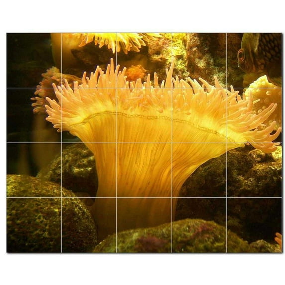 Sealife Photo Ceramic Tile Mural Kitchen Backsplash Bathroom Shower, 405777-XL54