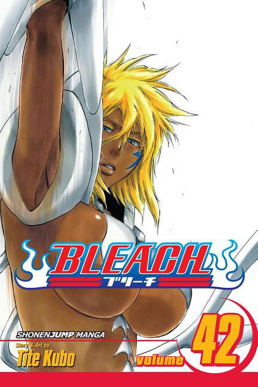 Bleach Bleach, Vol. 43, (Paperback) - Walmart.com