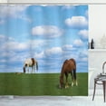 thumbnail image 1 of Ambesonne Minnesota Shower Curtain, Horses Grazing Meadow, 69"Wx84"L, Multicolor, 1 of 3