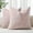 Blush Pink, variant on COOKCOK Chenille Black Throw Pillow Covers 18x18 Inch Set of 2, Decorative Soft Couch Pillow Covers Solid Dyed Accent Farmhouse Neutral Square Pillow Cases for Sofa Bed Living Room, Grey