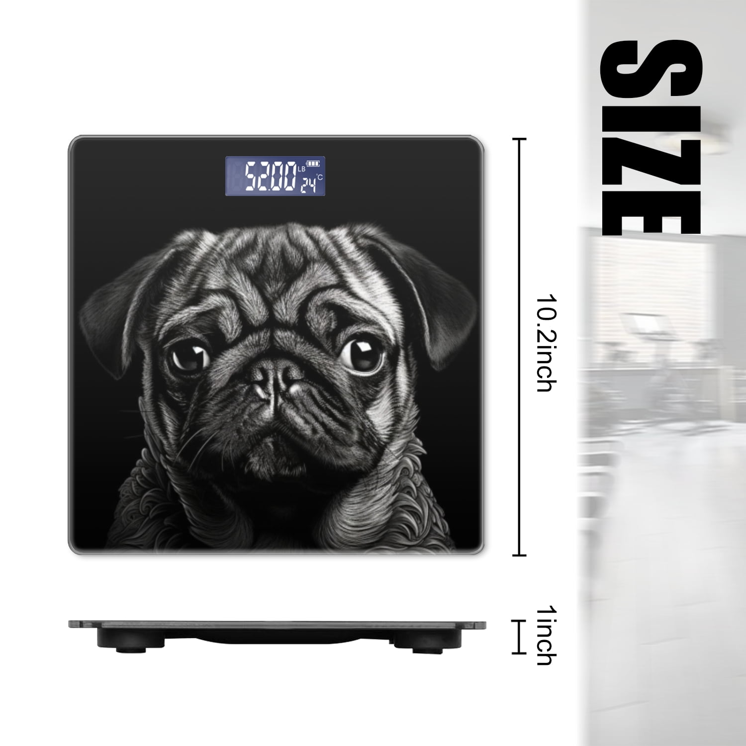 Bathroom Scale, Highly Accurate Digital Body Scale,Precisely Measures Weight up to 400 lbs-Black And White Pug Portrait On Black Background