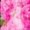 Hot Pink, variant on Women's Casual Pants Wide Leg Pants Women'S High Waisted Flower Patterned Pants Lightweight And Loose Casual Colorful Pants Heavyweight Pants,Blue Women's Casual Pants M