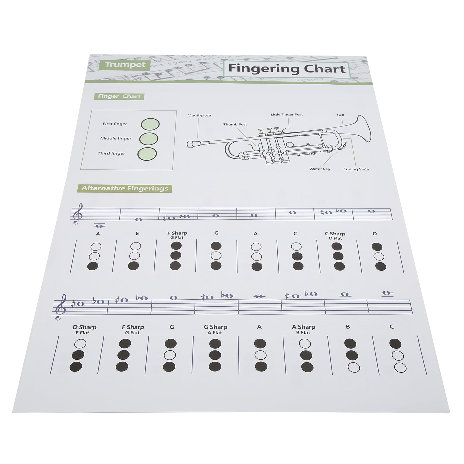YOUTHINK Trumpet Chord Chart, Art Paper Trumpets Note Guide Fingering