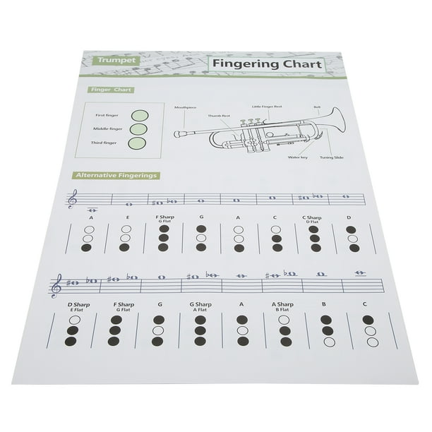 Trumpet Chart, Scale Poster Art Paper Trumpets Note Guide Portable